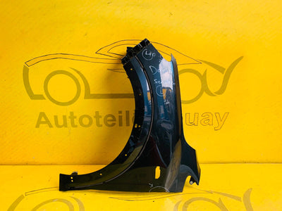 Dacia Sandero 2 Kotflügel links Original 631012079R