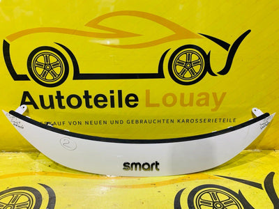 Smart #1 Kühlergrill Original 8891037927