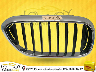 BMW G30 5er Niere Ziergitter rechts Luxury Original 51137390866