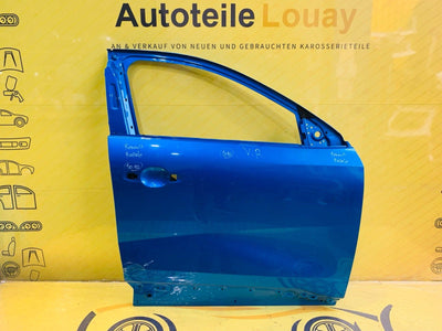 Renault Rafale Tür vorne rechts Original 801007727R
