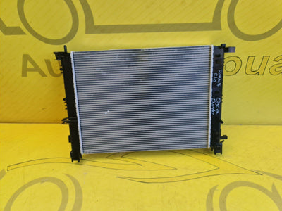 Dacia Lodgy Duster Wasserkühler Original 214100078R