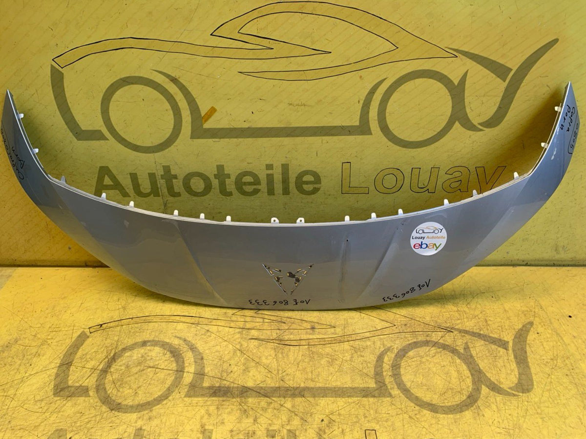 Seat Cupra Born Stoßstange vorne Blende 10E806333