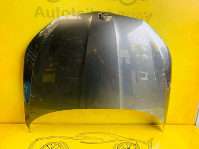 Skoda Scala Motorhaube Original ab 2019
