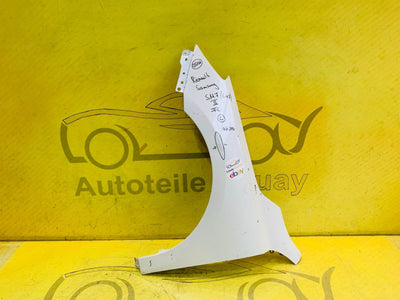 Renault Samsung SM7 Kotflügel links Original ab 2014