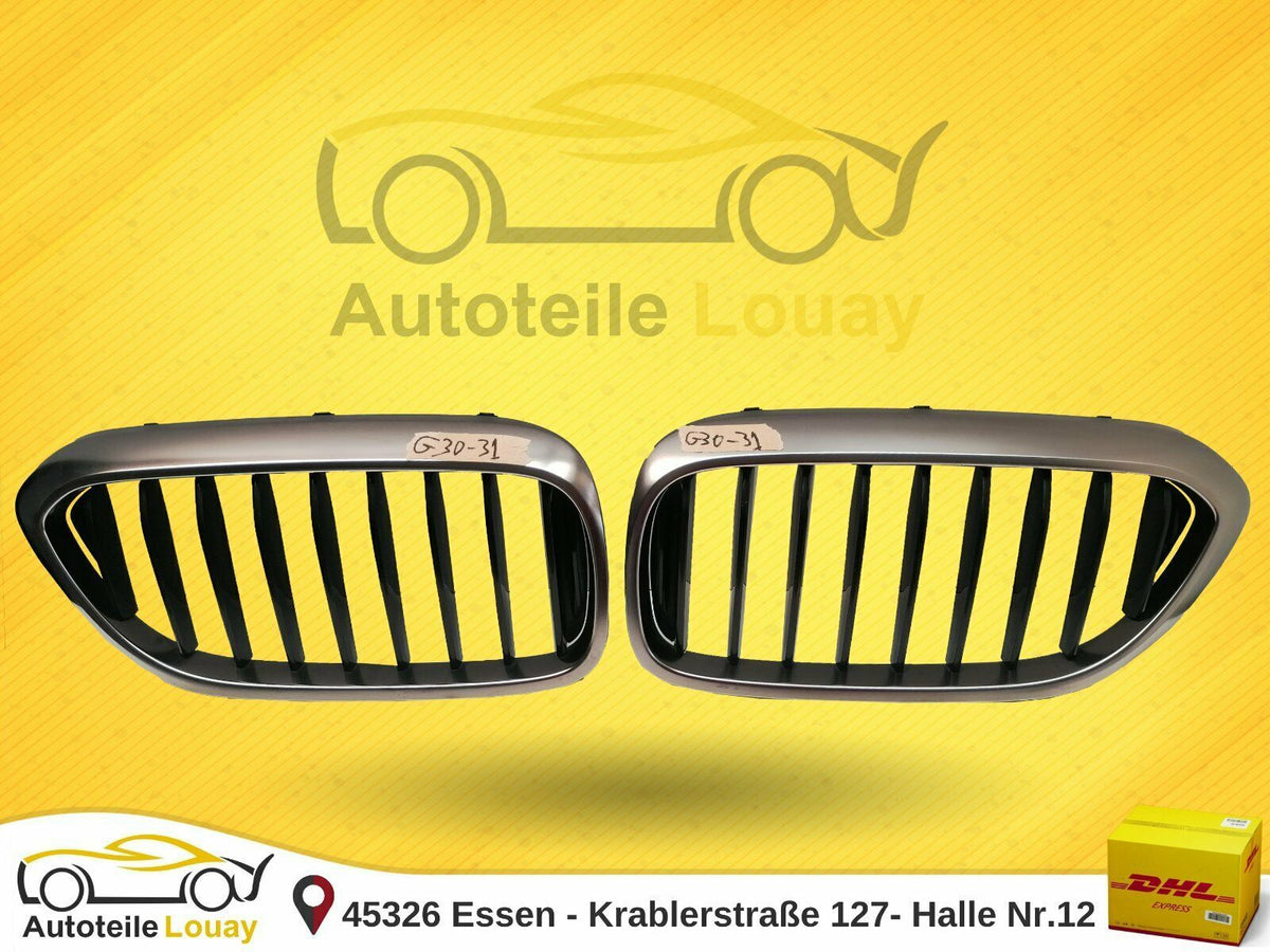 BMW G30 G31 5er Niere Grill Luxury Original 51137390866