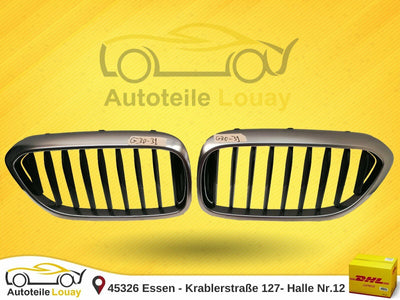 BMW G30 G31 5er Niere Grill Luxury Original 51137390866