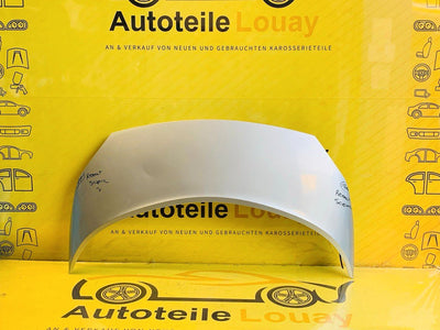 Renault Megane Scenic 2 Motorhaube Original 651001097R