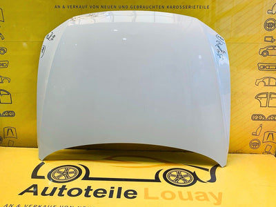 VW Passat 3C Motorhaube Original 3G0823031C