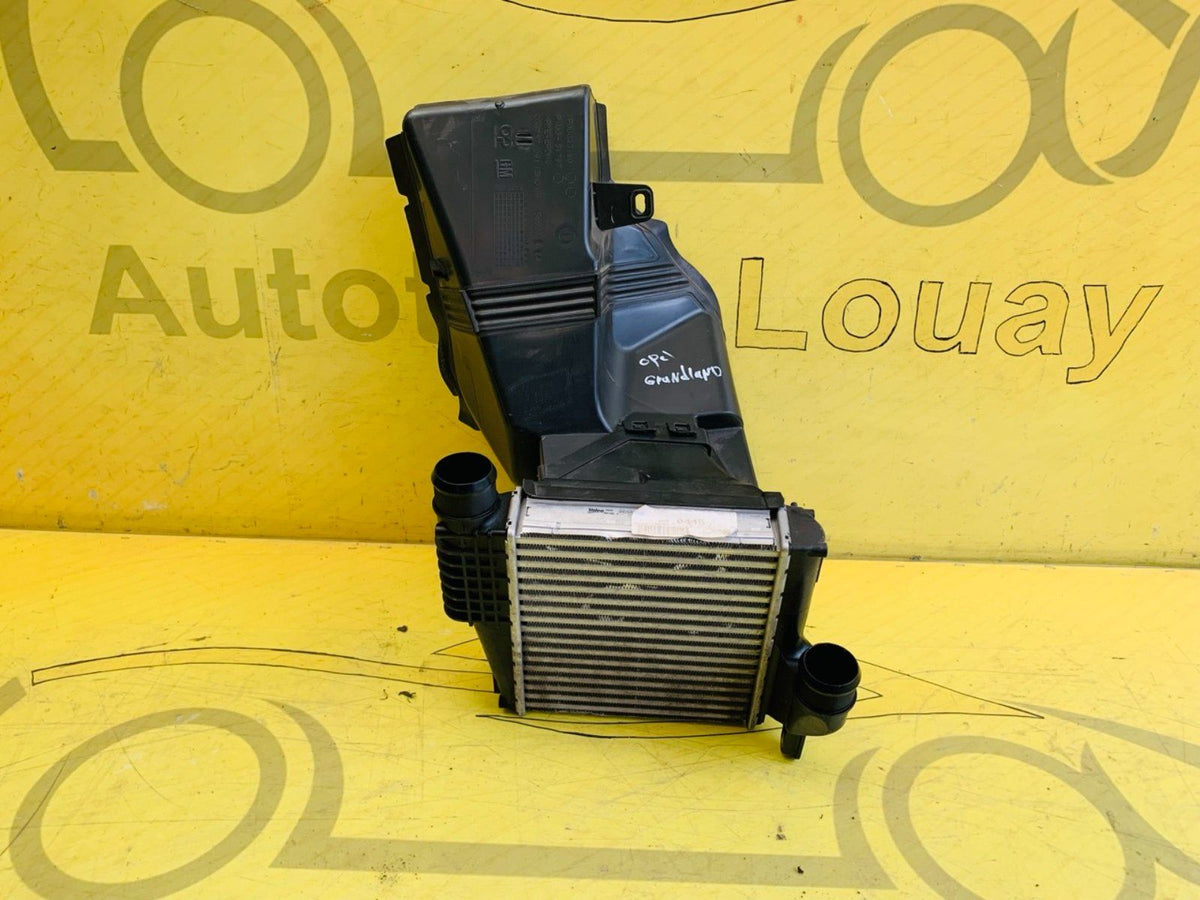 Opel Grandland Ladeluftkühler Original IA2048