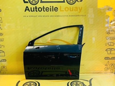 Seat Leon 5F Tür vorne links Original 5F4831055A