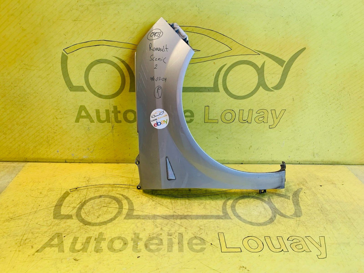 Renault Scenic 2 Kotflügel rechts Original 2003-2009