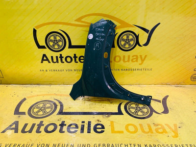 Dacia Spring Kotflügel rechts ab 2021 Original 631007661R